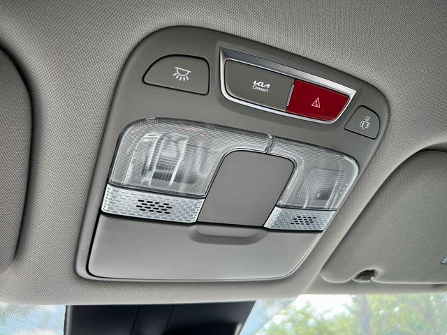 Photo of 2025 Everlasting Silver Kia Telluride