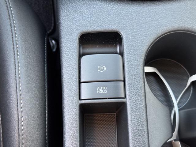 Photo of 2024 Green / Black Kia Seltos