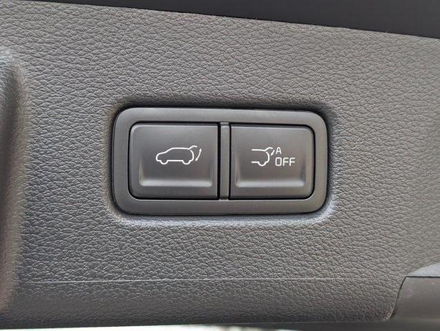 Photo of 2025 Ebony Black Kia Telluride
