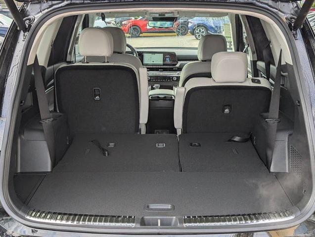 Photo of 2025 Ebony Black Kia Telluride