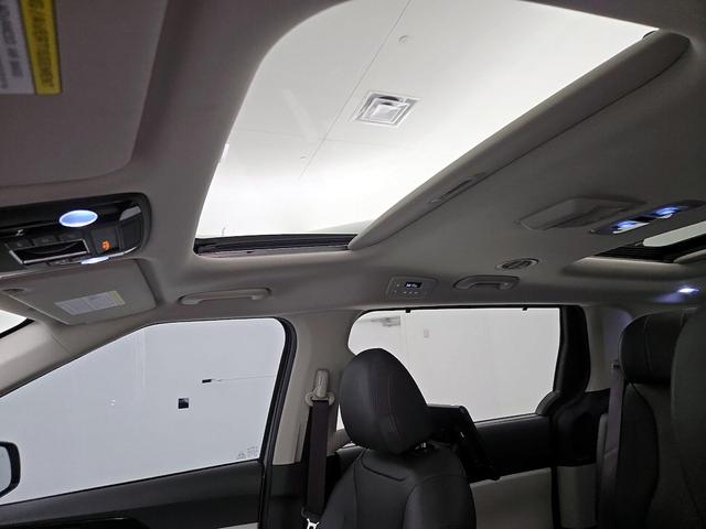 Photo of 2022 Gray Kia Carnival