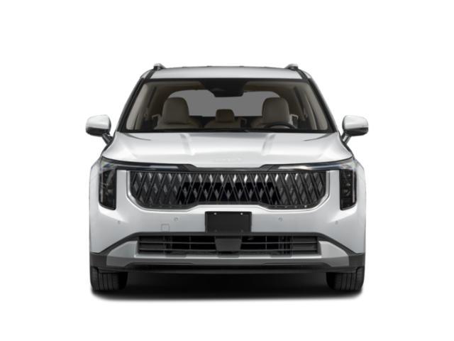 Photo of 2026 Panthera Metal Kia Carnival