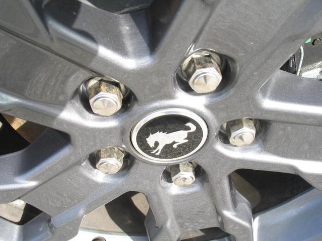 Photo of 2024 Oxford White Ford Bronco Sport