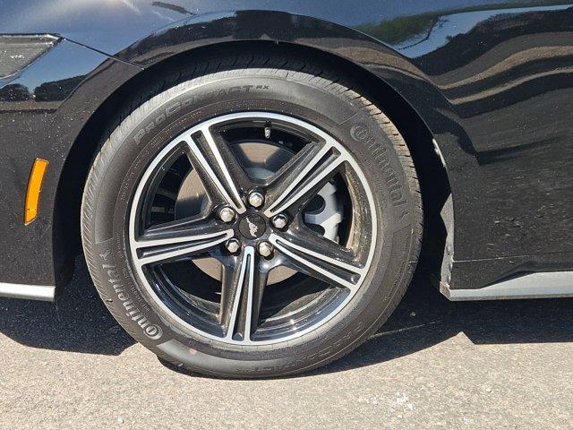 Photo of 2025 Black Ford Mustang