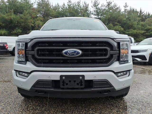 Photo of 2023 Avalanche Gray Ford F-150