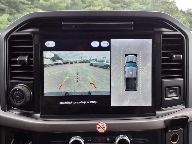 Photo of 2025 Gray Metallic Ford F-150