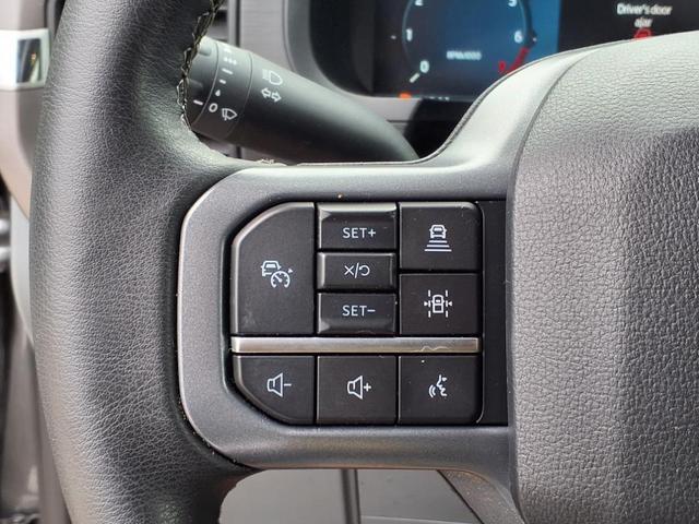 Photo of 2025 Gray Metallic Ford F-150