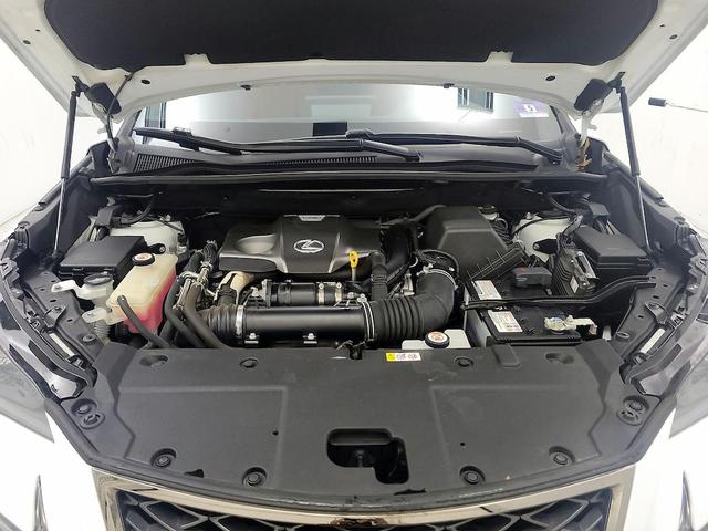 Photo of 2019 White Lexus NX 300