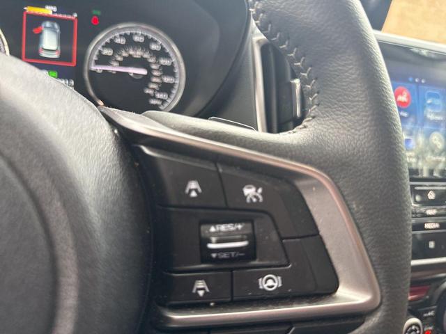 Photo of 2022 Mgm Subaru Forester