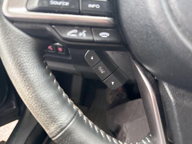 Photo of 2022 Mgm Subaru Forester