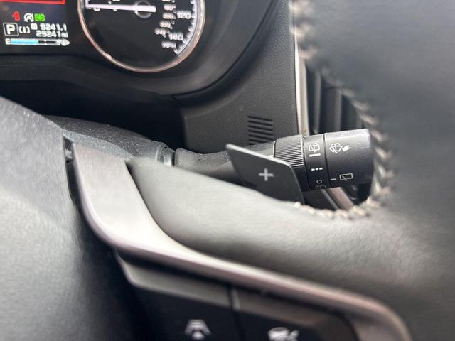 Photo of 2022 Mgm Subaru Forester