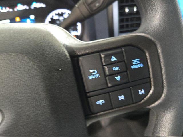 Photo of 2025 Agate Black Metallic Ford F-250