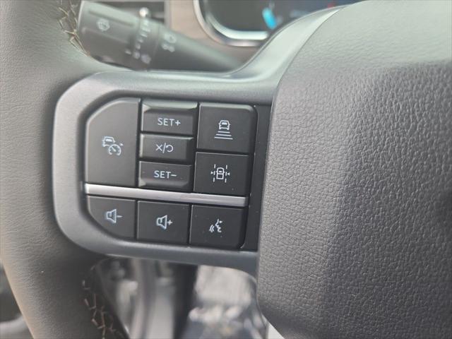 Photo of 2025 Carbonized Gray Metallic Ford F-150