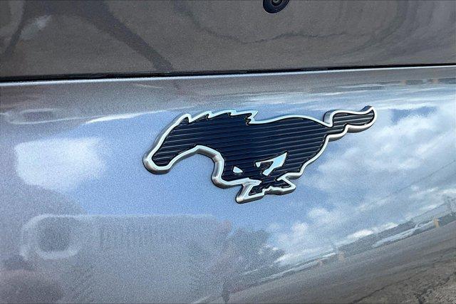 Photo of 2021 Carbonized Gray Metallic Ford Mustang Mach-E