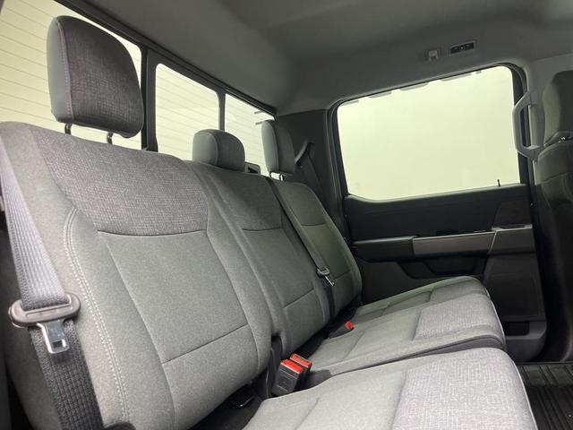 Photo of 2024 Agate Black Metallic Ford F-150