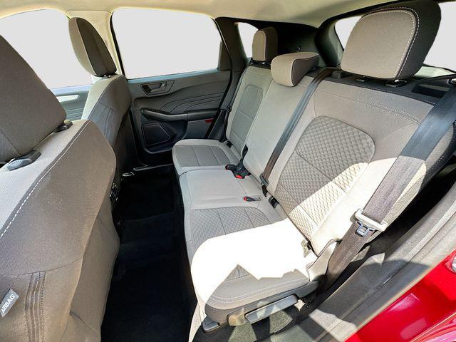 Photo of 2022 Rapid Red Metallic Tinted Clearcoat Ford Escape