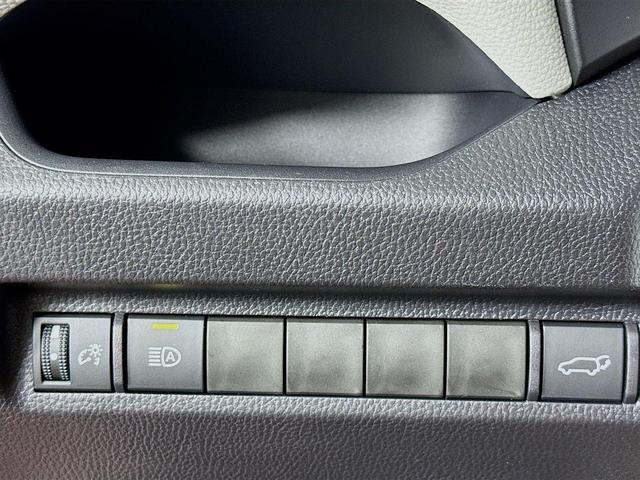 Photo of 2025 Ruby Flare Pearl Toyota RAV4