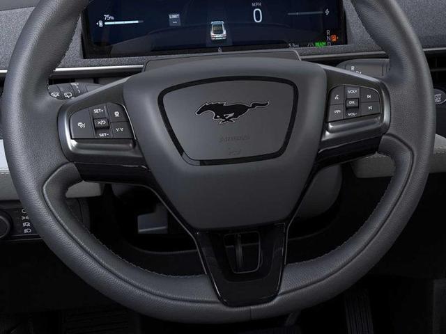 Photo of 2025 Blue Metallic Ford Mustang Mach-E