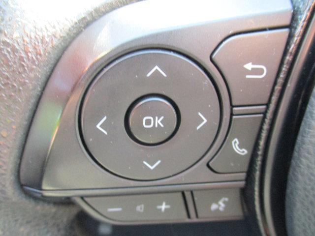 Photo of 2020 Ruby Flare Pearl Toyota RAV4