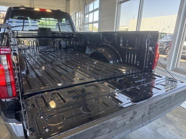 Photo of 2025 Agate Black Metallic Ford F-150