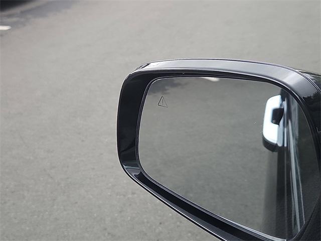 Photo of 2022 Pantera Metal Kia Carnival