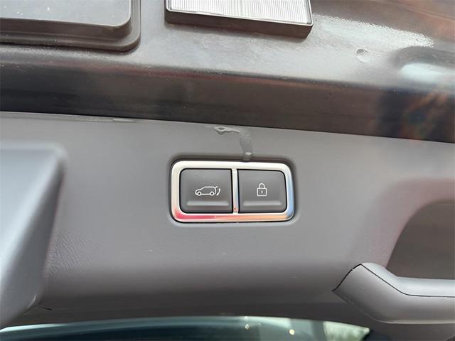 Photo of 2024 Metal Kia EV9