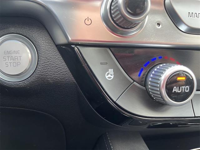 Photo of 2022 Dark Moss Kia Telluride