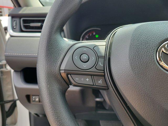 Photo of 2025 Ice Cap Toyota RAV4