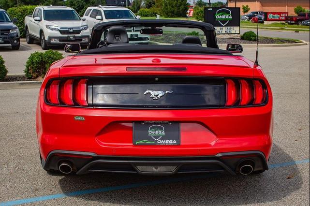 Photo of 2019 Race Red Ford Mustang