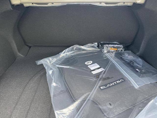 Photo of 2025 Amazon Gray Hyundai ELANTRA HEV