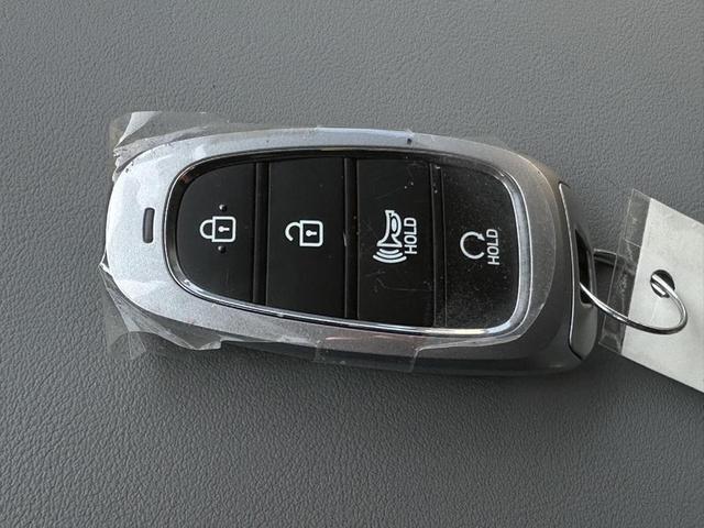 Photo of 2023 Moonlight Cloud Hyundai PALISADE