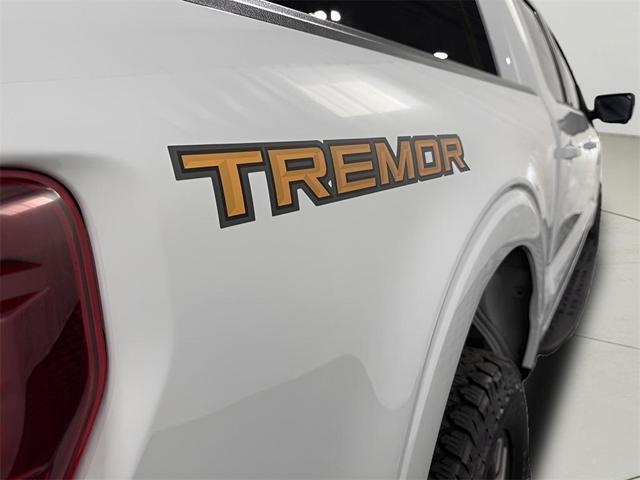 Photo of 2024 Avalanche Gray Ford F-150