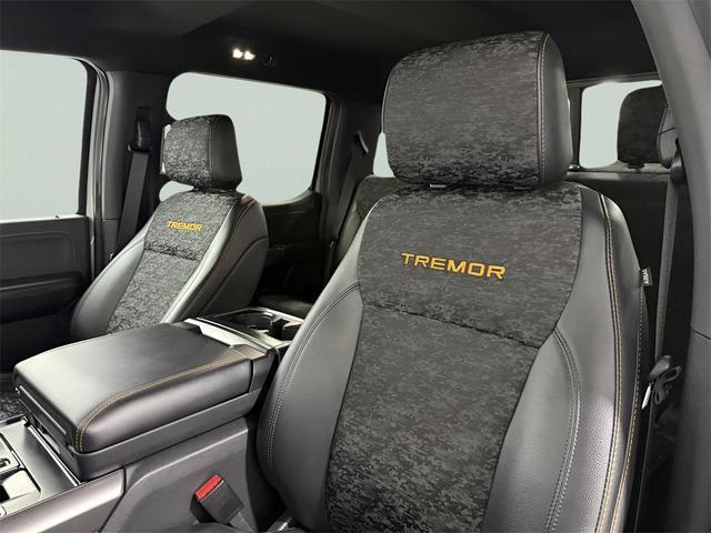 Photo of 2024 Avalanche Gray Ford F-150