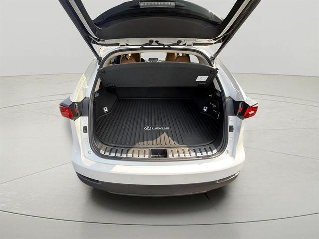Photo of 2020 Eminent White Pearl Lexus NX 300