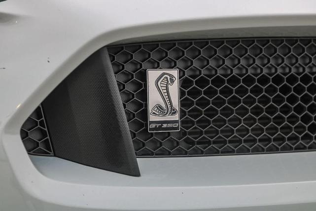 Photo of 2017 Avalanche Gray Ford Shelby GT350