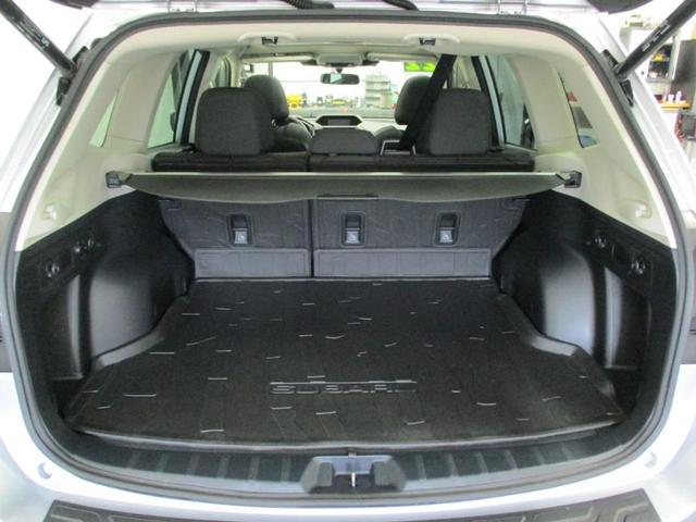 Photo of 2022 Blue Subaru Forester