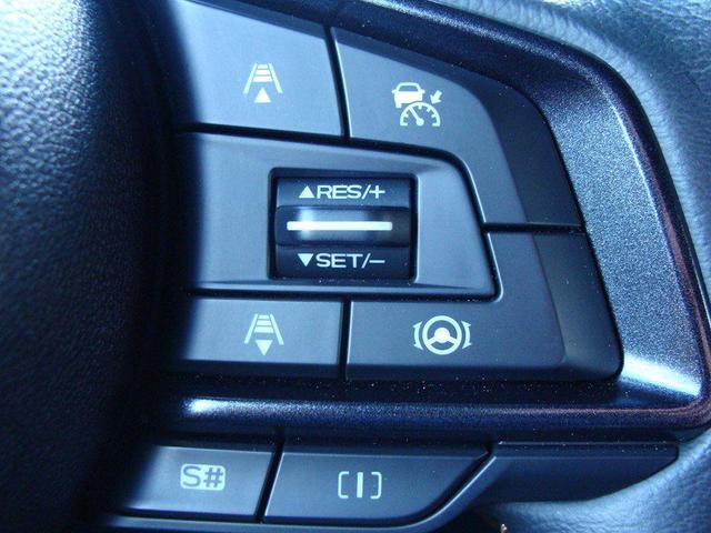 Photo of 2023 Crystal Black Silica Subaru Forester