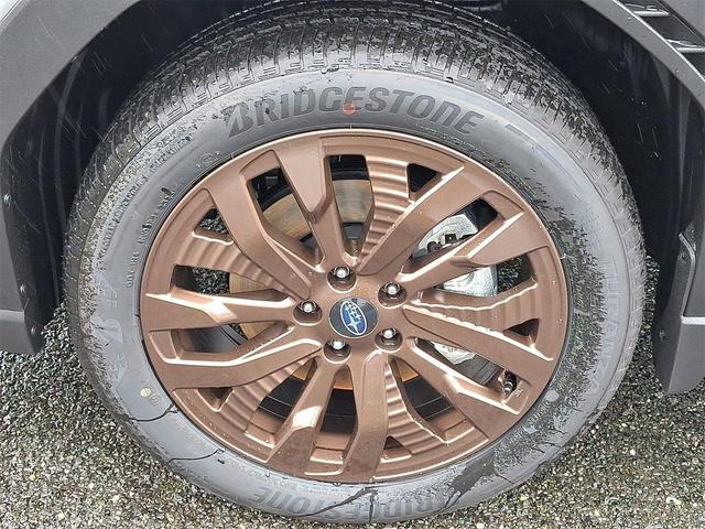Photo of 2025 River Rock Pearl Subaru Forester Hybrid