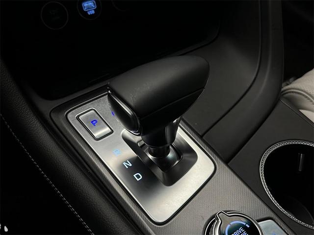 Photo of 2025 Vik Black Genesis G70