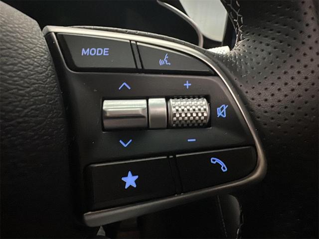 Photo of 2025 Vik Black Genesis G70