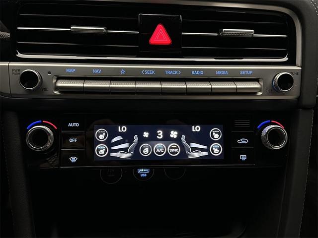 Photo of 2025 Vik Black Genesis G70