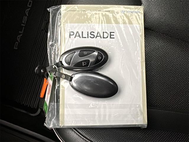 Photo of 2023 Hyper White Hyundai PALISADE