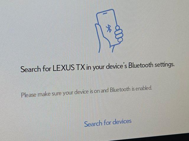 Photo of 2024 Cloudburst Lexus TX 350