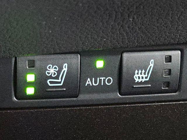 Photo of 2025 Pear Lexus ES 300h