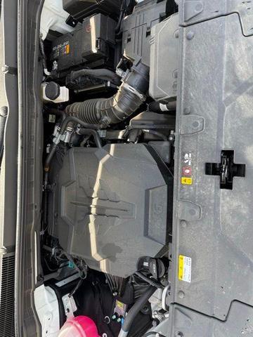 Photo of 2025 White Kia Carnival