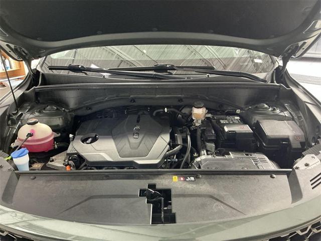 Photo of 2023 Aruba Green Kia Sorento