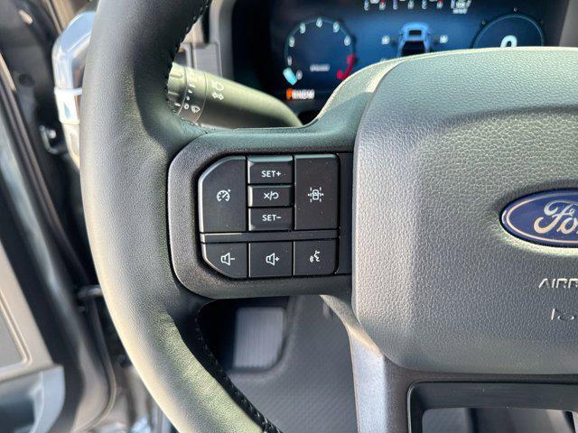 Photo of 2024 Carbonized Gray Metallic Ford F-150