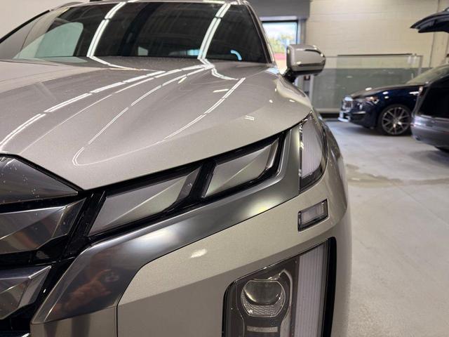 Photo of 2025 Typhoon Silver Hyundai PALISADE