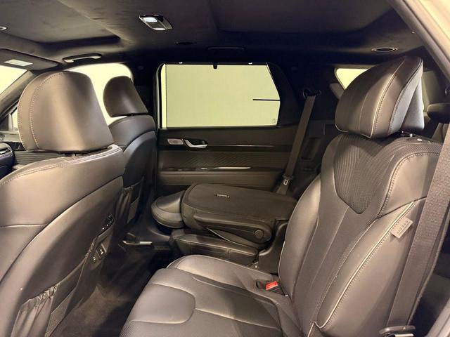 Photo of 2025 Typhoon Silver Hyundai PALISADE