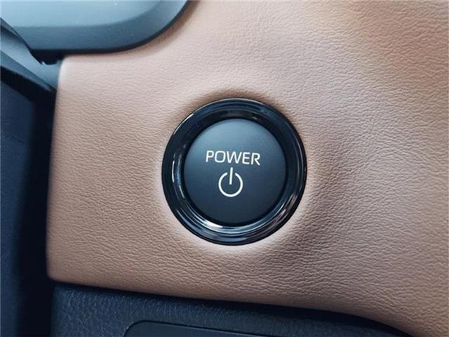 Photo of 2025 WHITE Toyota Tundra Hybrid